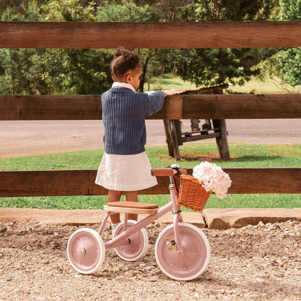 Rowerek trójkołowy Trike vintage - Dusty Pink